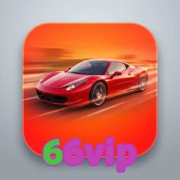 66vip
