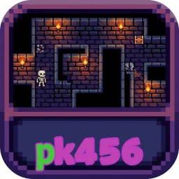 pk456